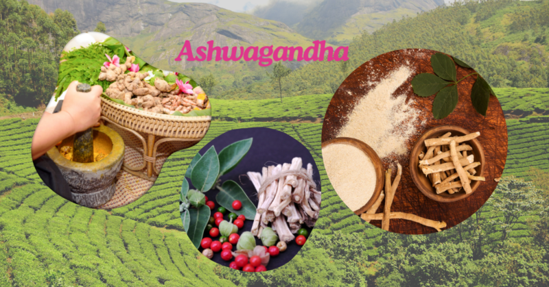 Ashwagandha